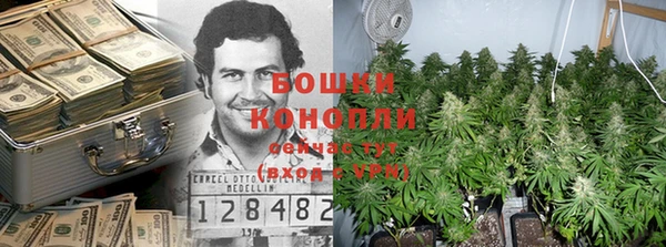 ПСИЛОЦИБИНОВЫЕ ГРИБЫ Аркадак