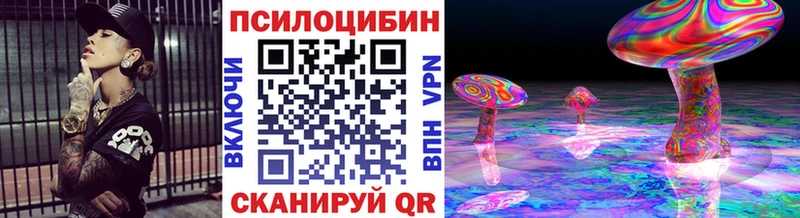 мега как войти  цена наркотик  Курган  Галлюциногенные грибы Psilocybe 